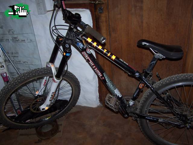 MI bici