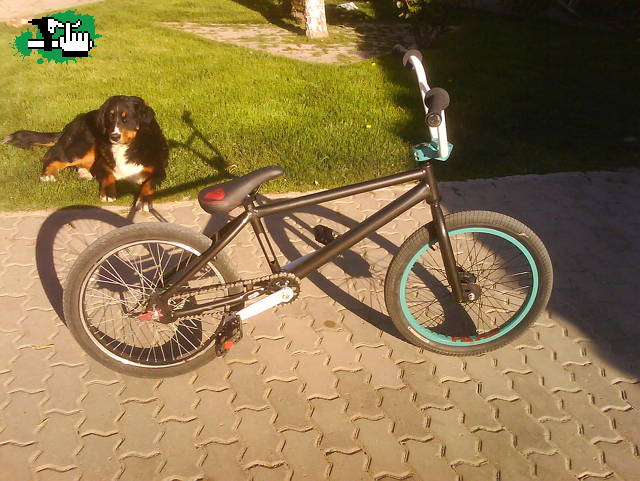 vendo vendo