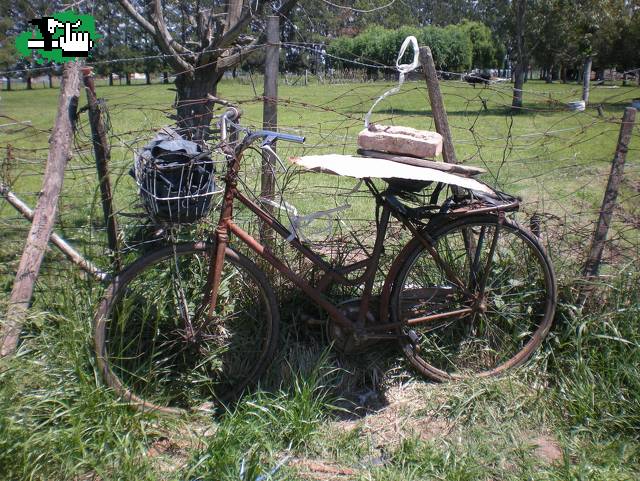 Locos del Pedal. Nuevo modelo 2009 exclusivo del grupo.