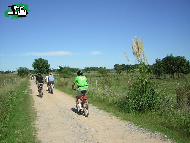DIA DE BICI Y CAMPO EN LOS GIRASOLES DE SAN GARA.