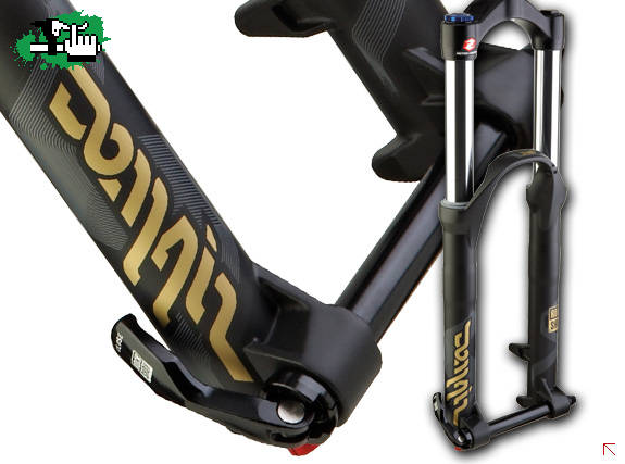 rock shox domain 2009