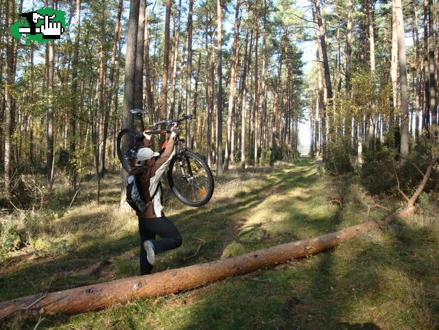 LdP en Polonia...