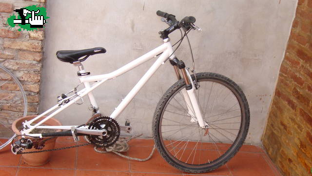 GT PALOMAR