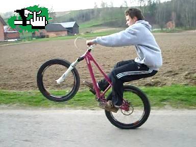 Manual