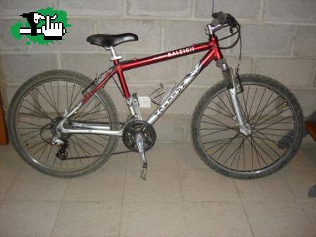 Mi bici