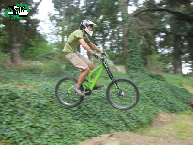 Tino Volador