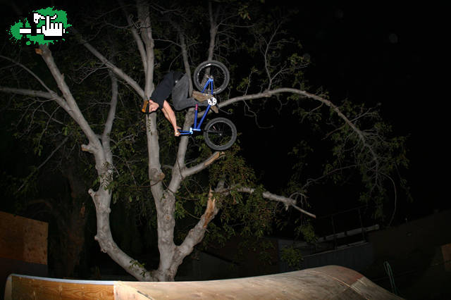 chase hawk