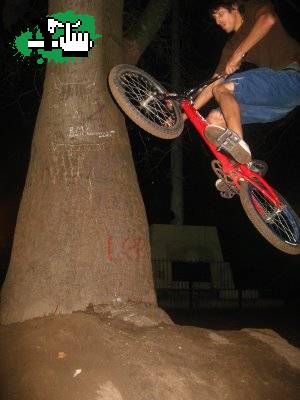 180 cama en el arbol de la colombia re pro