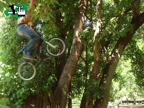 el dirt de la costanera
