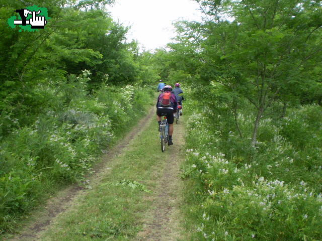 Los 3 chiflados del pedal: explorando los caminos del sur....