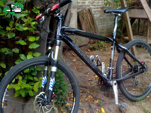 Stumpjumper specialized marathon carbon