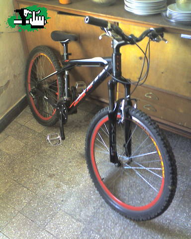 q les parece
