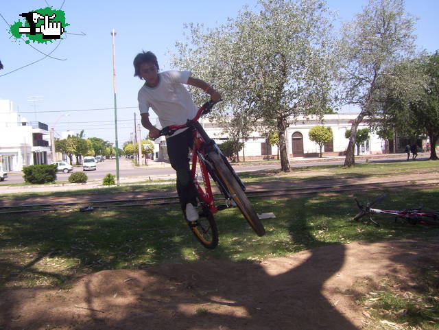 en el parque de los troncos
