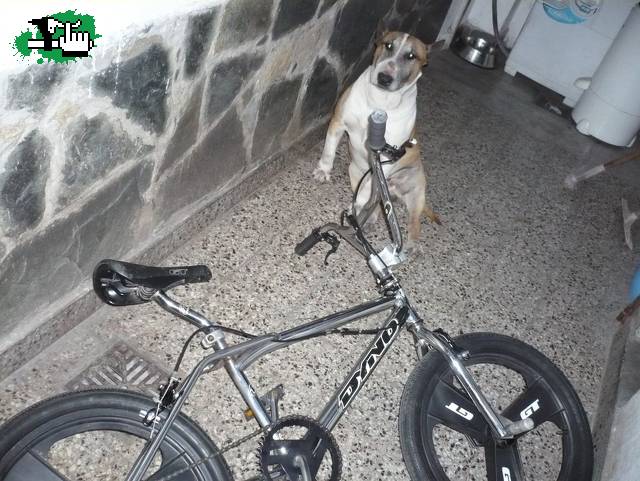 dos pedaleadas....asi kede!!