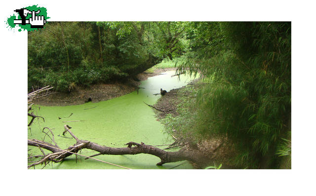 Reserva Ecològica Pereyra