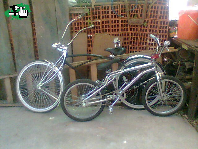 mis bicis con el perrito:)