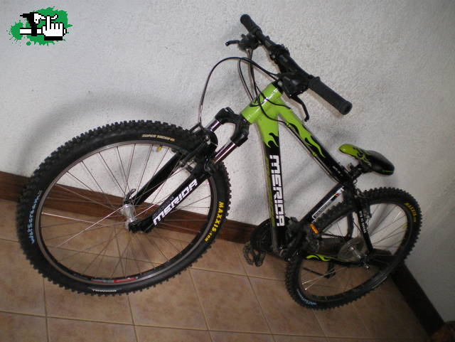 POR FIN LAS PUSE!!!