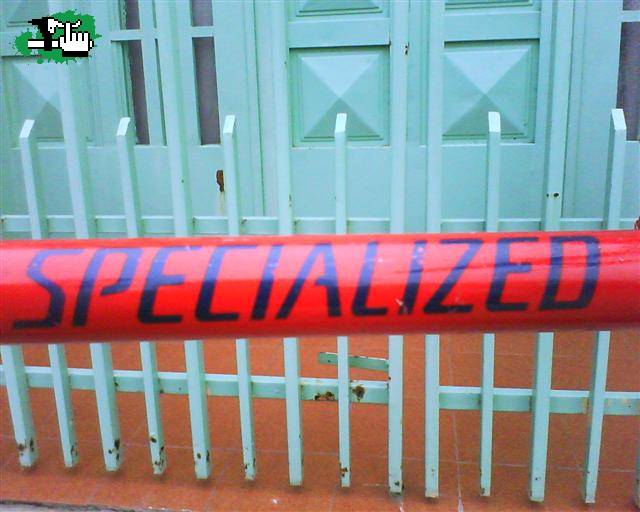specialized