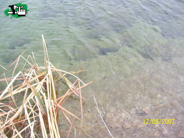 agua pura  de montaña