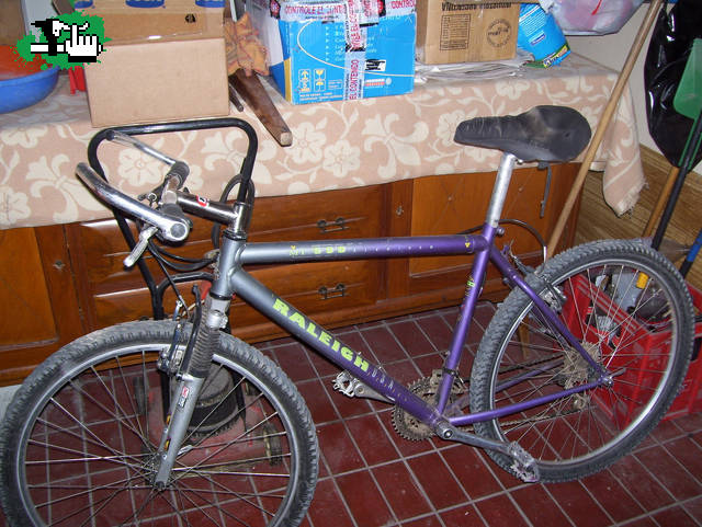 cuadros raleigh technium
