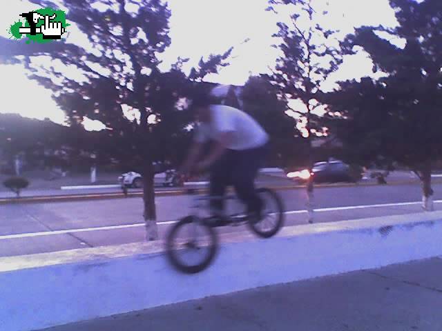 YO NoseGrind Paredones COSTA