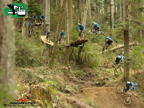 freerider 2
