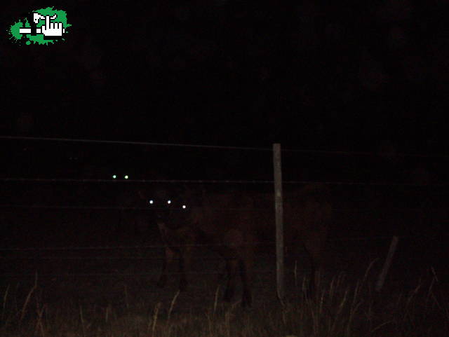 che aurora y estos de donde salieron ?