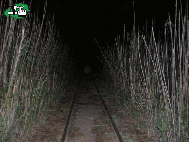 Locos del Pedal. Parte del trayecto de la Nocturna II