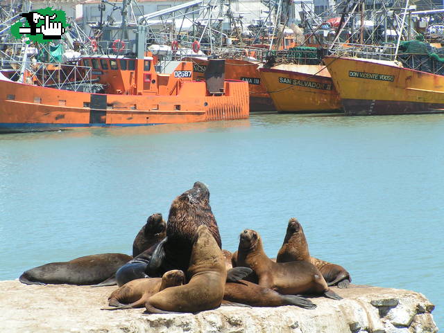 PUERTO DE MAR DEL PLATA