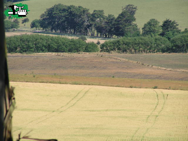 LOS COLORES DEL CAMPO
