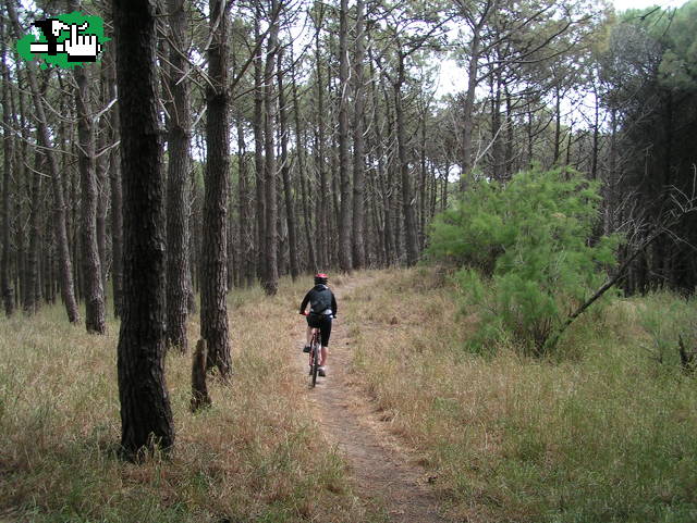 DURO SENDERO DE ARENA EN SUBIDA