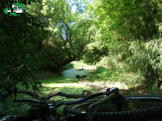 Parque Pereyra Iraola