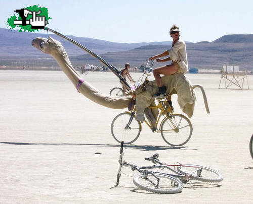 un camello, literal!!