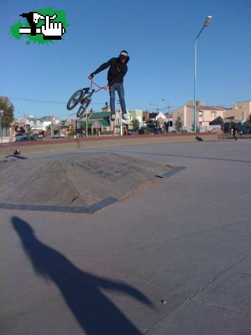 whip