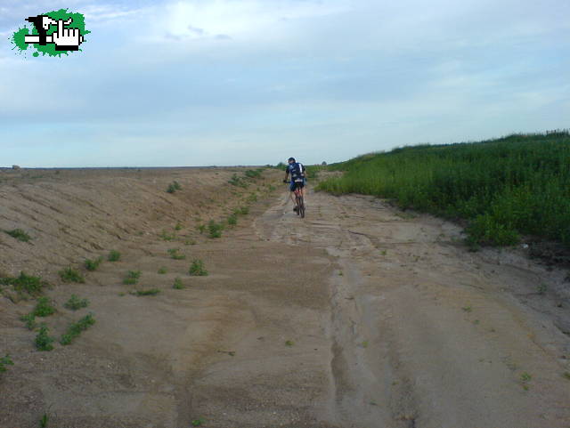 cuneteando