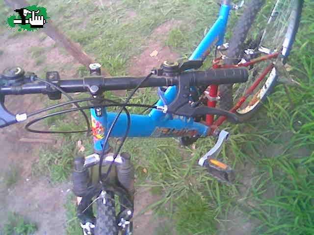 mi amor