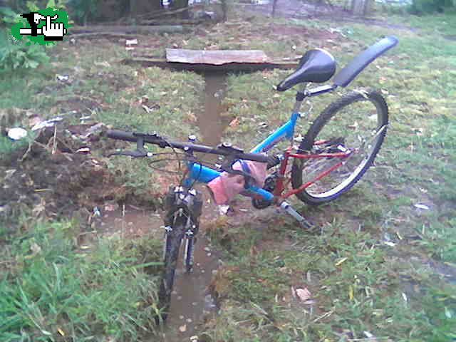 dx halley full
