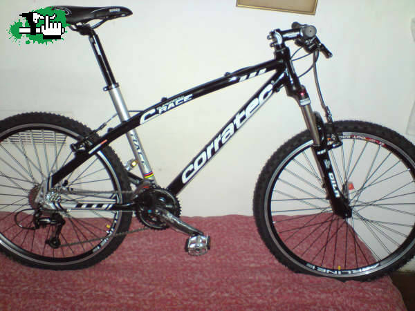 tiburon7