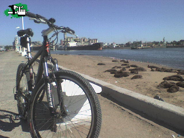 escollera sur