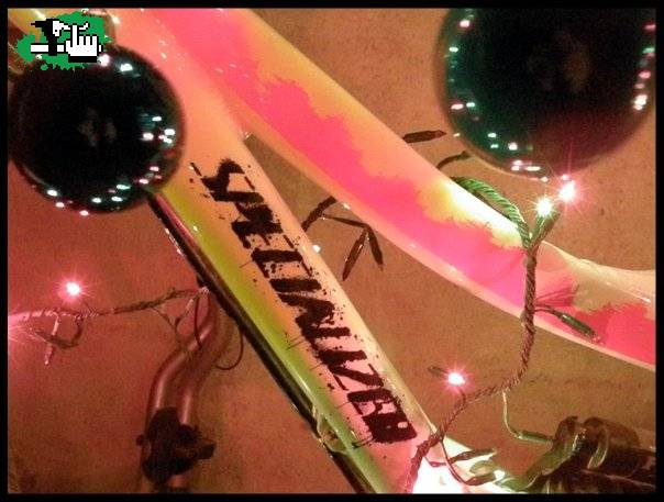 ARBOL-BIKE! pero del otro lado del mundo!!!