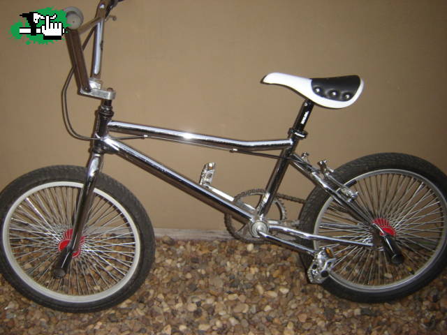 baer_rider