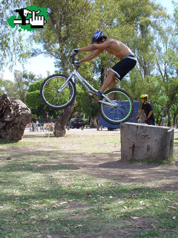 el pajaro 