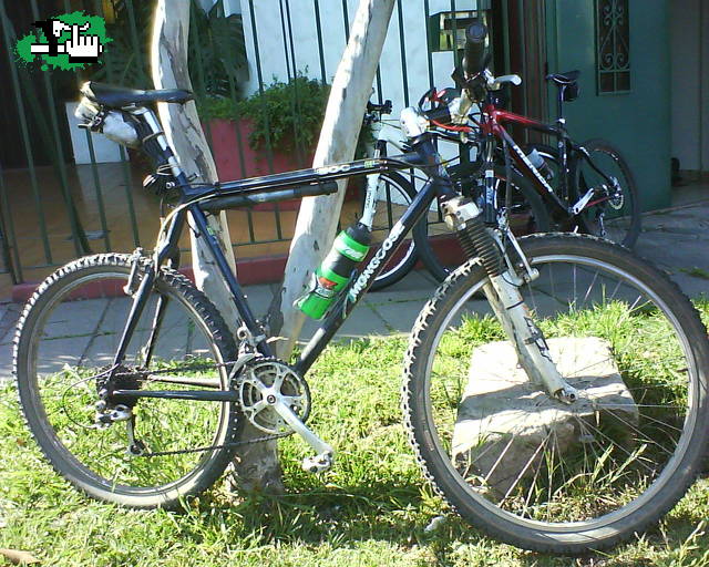 MODELO 09