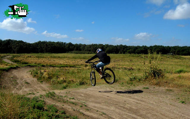 Session 2008