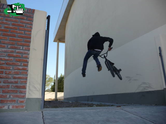 whip