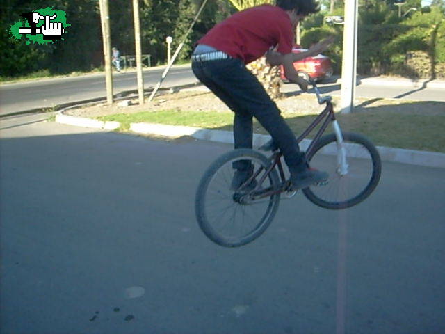 BUNNY BARSPIN opine