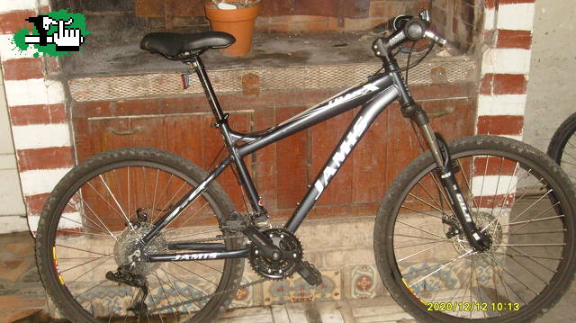 mina clavelo