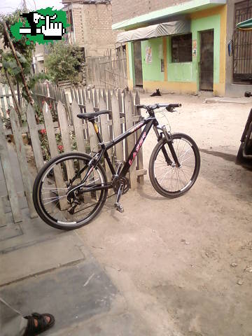 mi linda negra