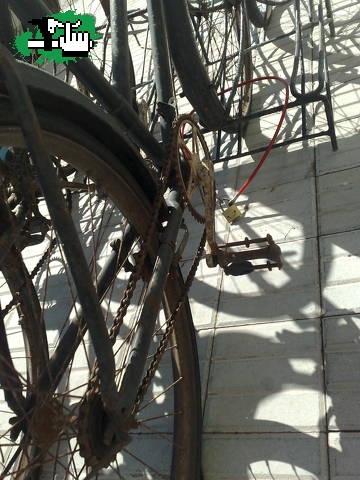 Bicis de alquiler en Miramar (¡zoom!)