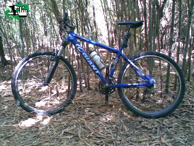 Xtc en su hábitat natural